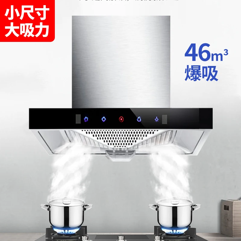 110V/220V Klein Formaat Appart - Commercial Exhaust Hood recensie en prijs